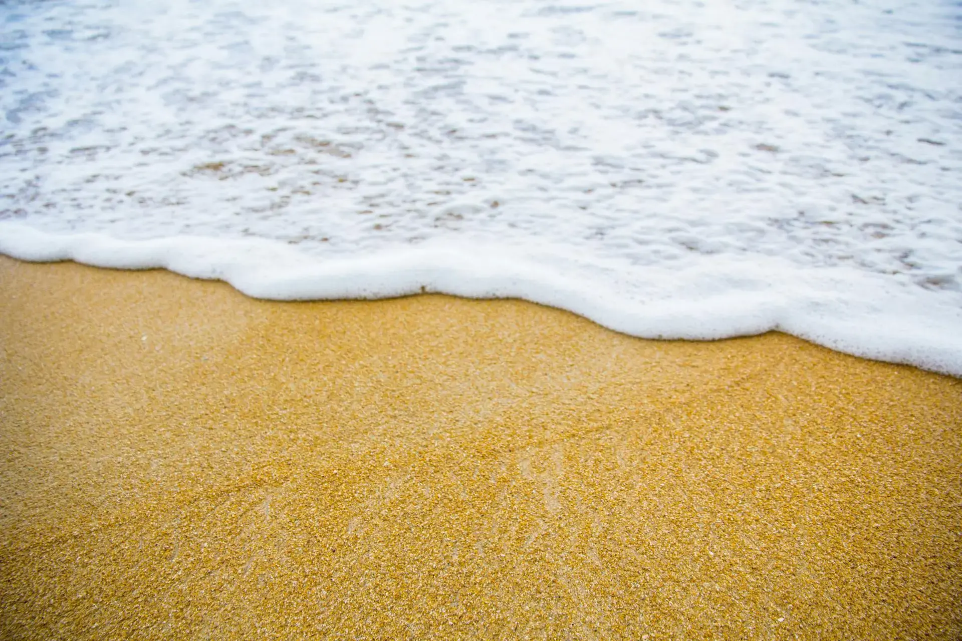 Okanagan beach shoreline
