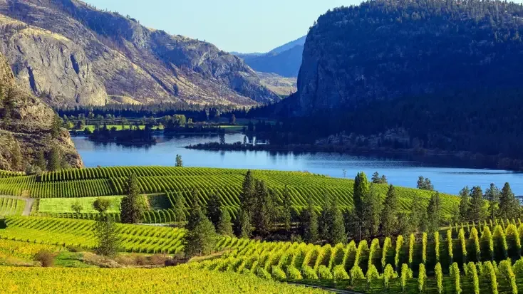 South Okanagan landscape